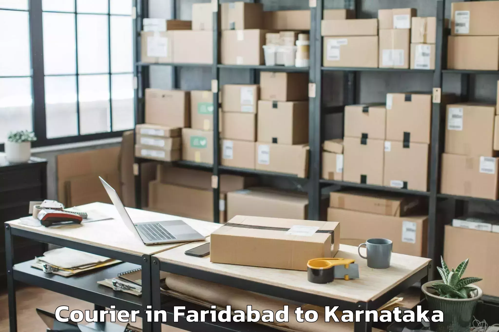 Leading Faridabad to Belluru Courier Provider